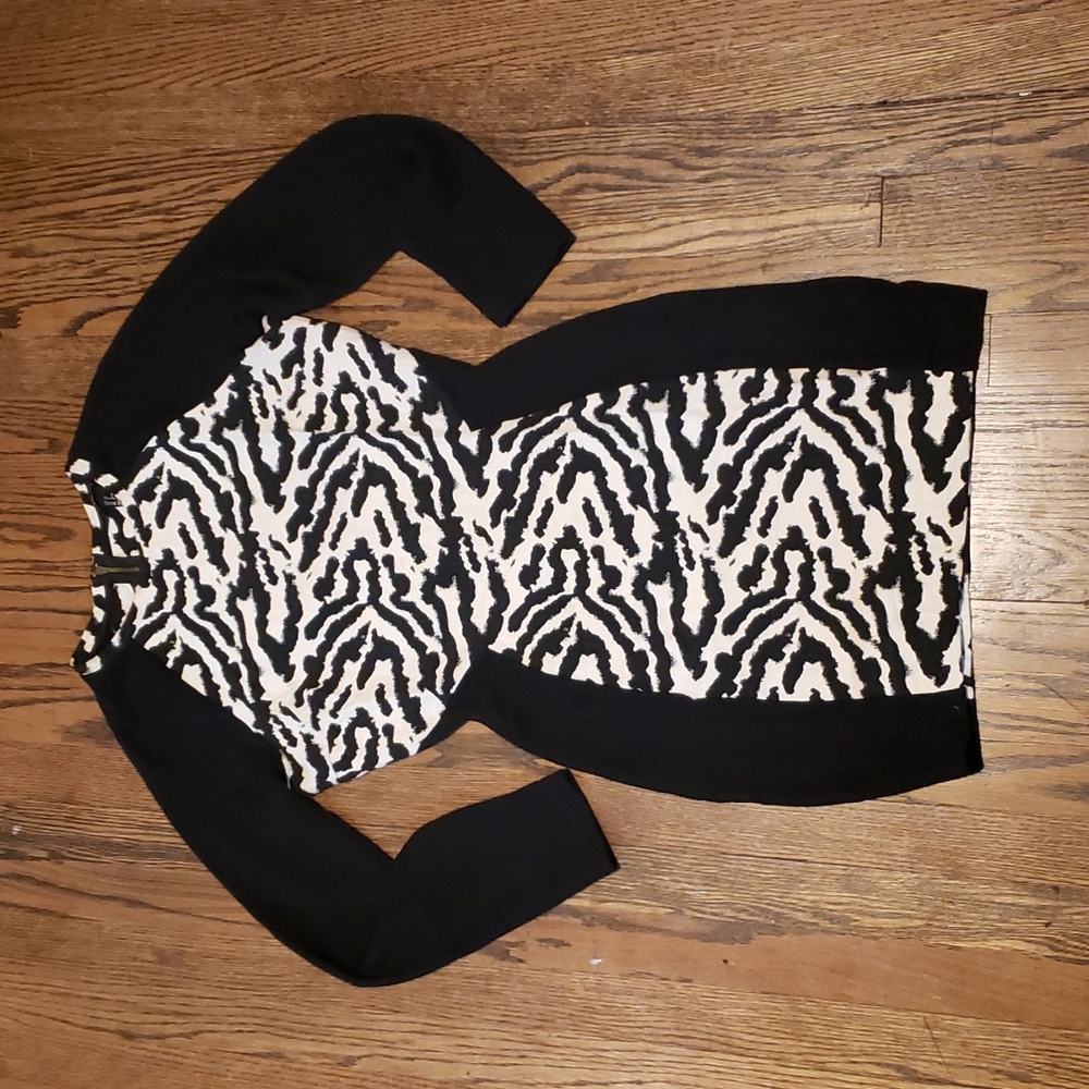 H&M Animal Print Long Sleeve Dress